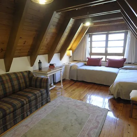 Apartment Araneu *